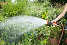 Load image into Gallery viewer, Profi System Maxi Flow Spritz Brause Shower Spray