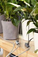 Load image into Gallery viewer, Holiday Watering Set With Water Container