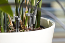 Load image into Gallery viewer, Holiday Watering Set With Water Container