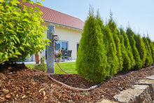 Load image into Gallery viewer, Set Planted Rows M automatic