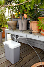 Load image into Gallery viewer, Holiday Watering Set With Water Container