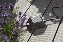 Load image into Gallery viewer, Holiday Watering Set With Water Container