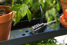 Load image into Gallery viewer, Holiday Watering Set With Water Container