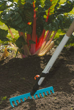 Load image into Gallery viewer, Combisystem Rake (30 cm)