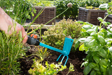 Load image into Gallery viewer, Combisystem Hand Hoe