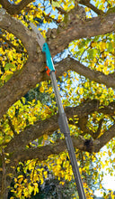 Load image into Gallery viewer, CS Garden saw 300 PP