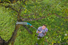 Load image into Gallery viewer, CS Garden saw 300 PP