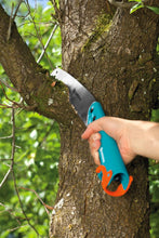 Load image into Gallery viewer, CS Garden saw 300 PP curved
