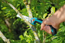 Load image into Gallery viewer, Garden saw 200 P