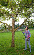 Load image into Gallery viewer, CS Garden saw 300 PP