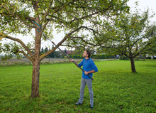 Load image into Gallery viewer, Combisystem Bow Saw