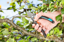 Load image into Gallery viewer, Garden Secateurs B/S-XL