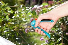 Load image into Gallery viewer, Garden Secateurs B/S