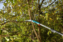 Load image into Gallery viewer, CS Garden saw 300 P curved