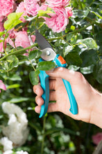 Load image into Gallery viewer, Classic Secateurs