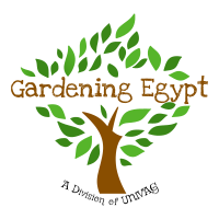 Gardena in Egypt