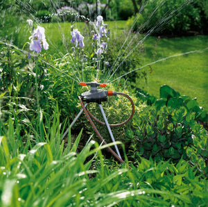 Classic Circular Sprinkler Samba