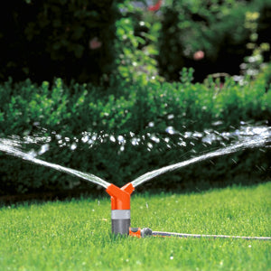 Classic Rose Sprinkler Foxtrot