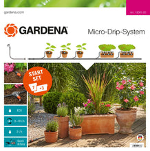 Load image into Gallery viewer, Starter Set Flower Pots M
