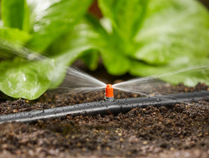 Micro Strip Sprinkler