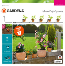 Load image into Gallery viewer, Starter Set Flower Pots S
