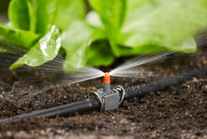 Micro Strip Sprinkler