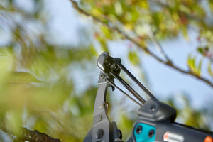 Combisystem Bypass Branch Pruner