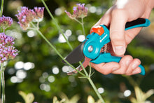 Load image into Gallery viewer, Garden Secateurs B/S
