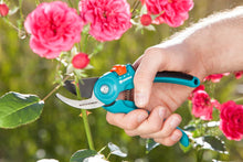 Load image into Gallery viewer, Garden Secateurs B/S-M
