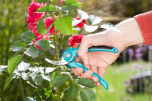 Load image into Gallery viewer, Garden Secateurs B/S-M
