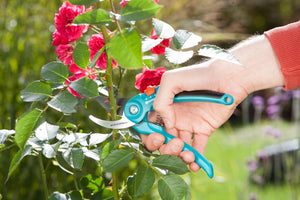 Garden Secateurs B/S-M