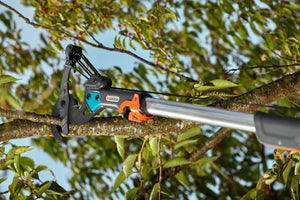 Combisystem Bypass Branch Pruner