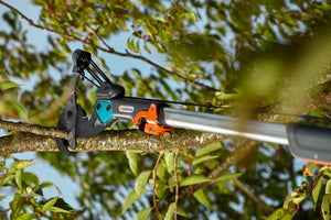 Combisystem Bypass Branch Pruner